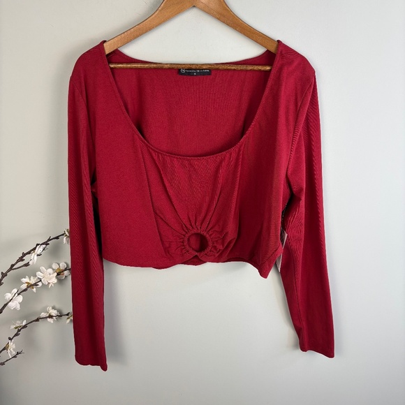Fashion to Figure Tops - Fashion to Figure Ring Detail top Top NWT Size 3X